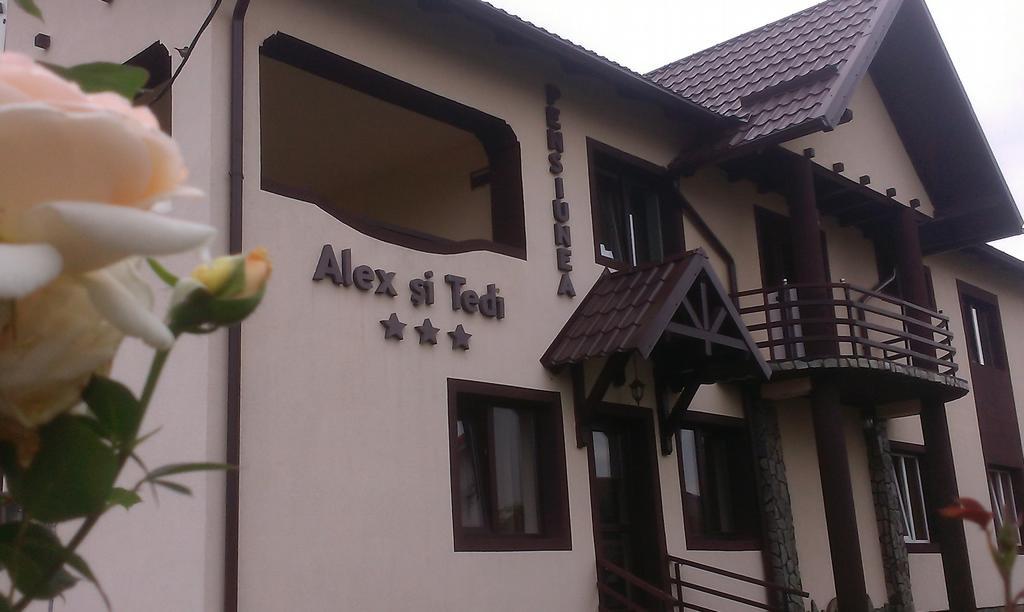 Pensiunea Alex Si Tedi Horezu Eksteriør billede